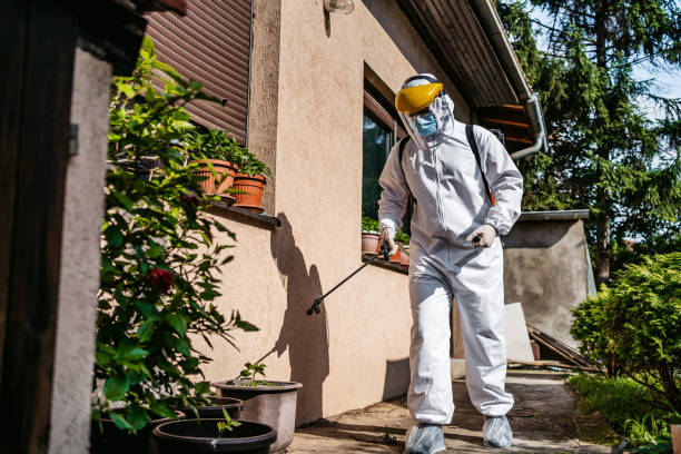 Best Wasp Removal Services  in Erlanger, KY
