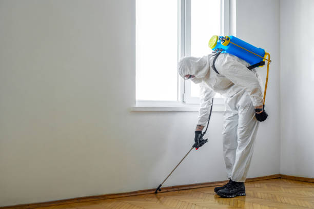 Best Affordable Pest Control Services  in Erlanger, KY